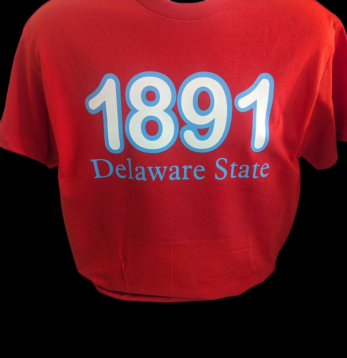 1891 Delaware State