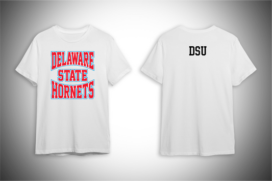 Delaware State University