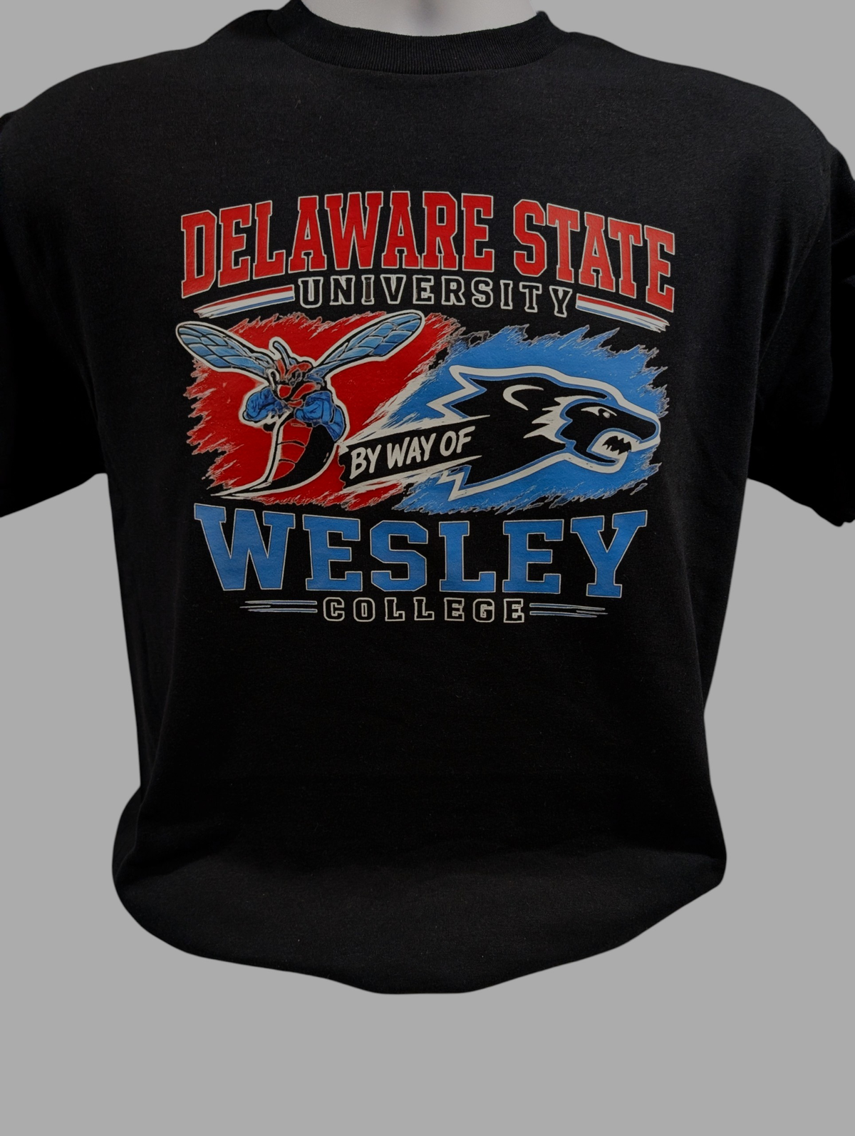Delaware State byway of Wesley