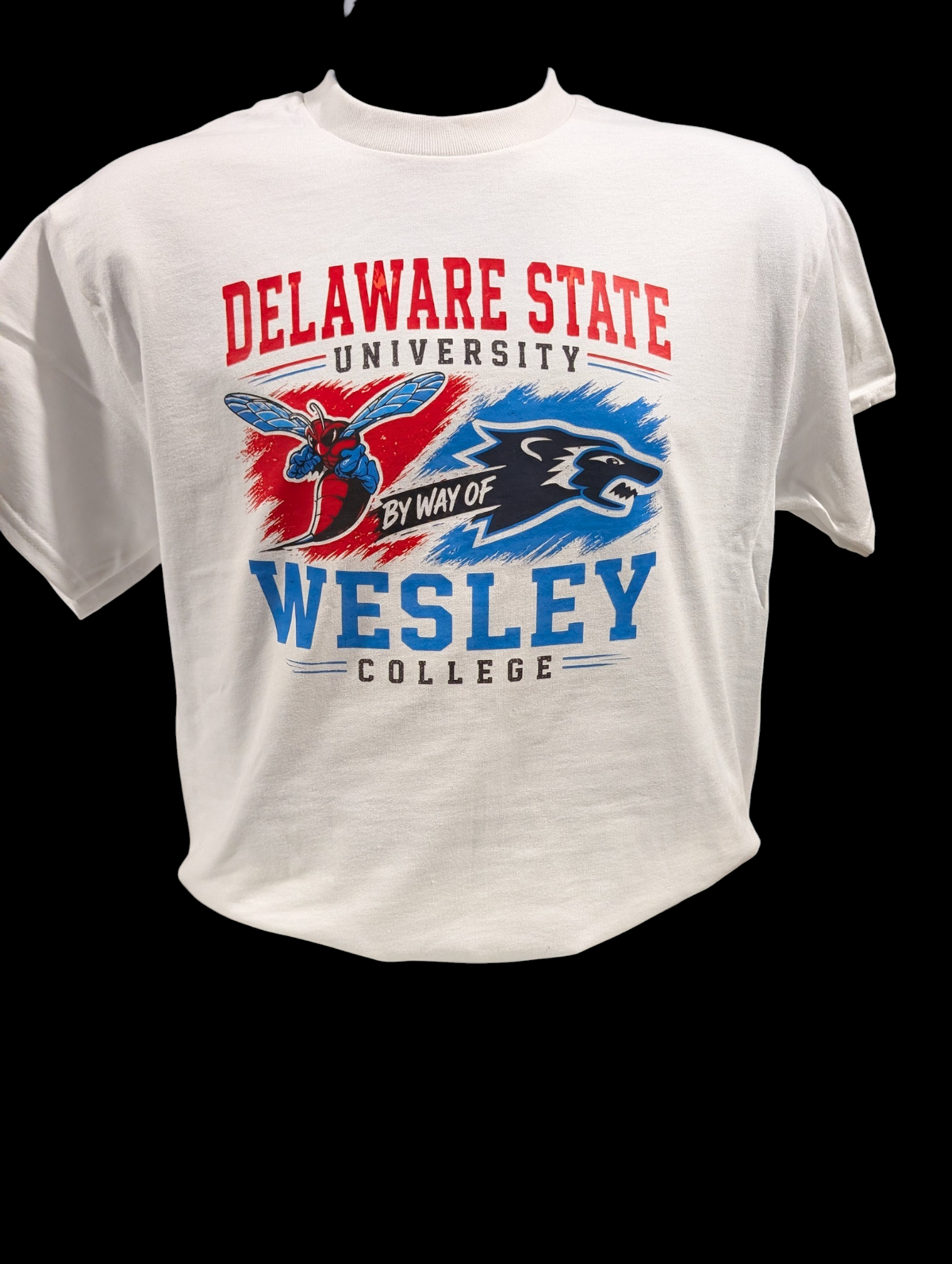 Delaware State byway of Wesley
